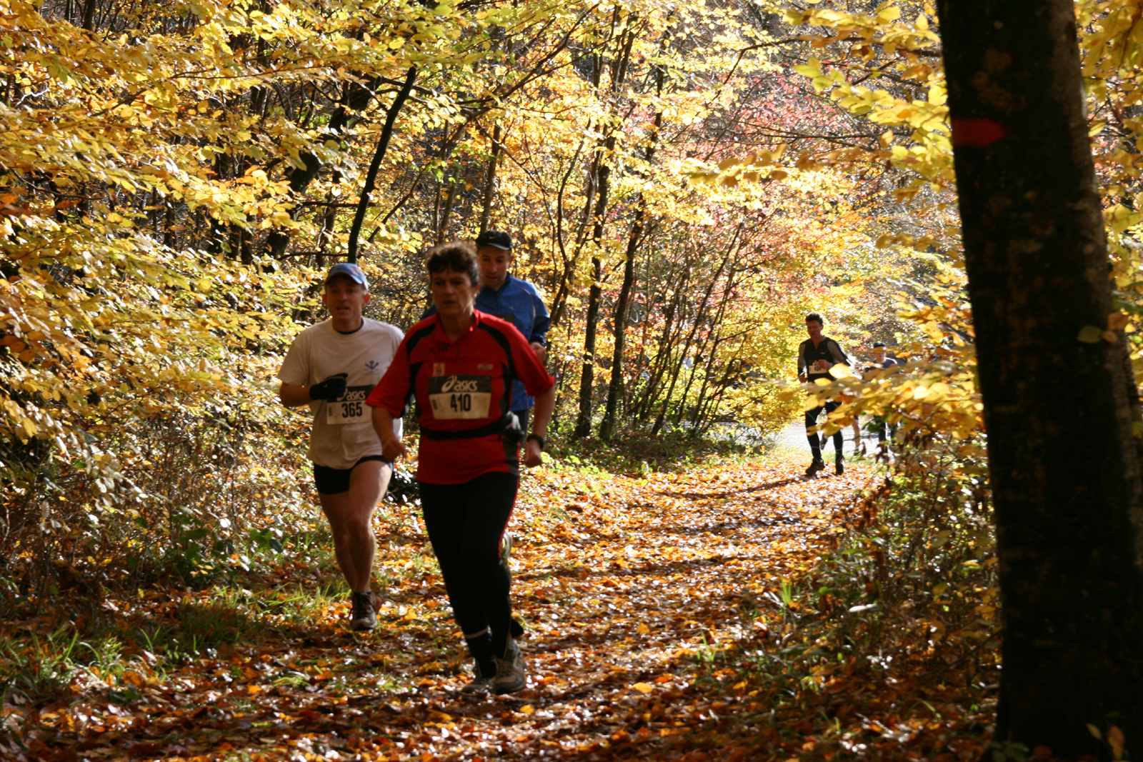 Détails du parcours 13Km